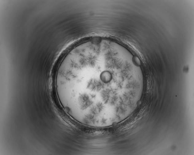 X0000099410584200805090729