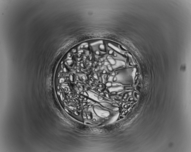 X0000099410585200805090729