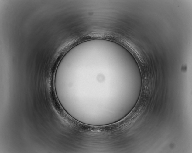 X0000099410586200805090729