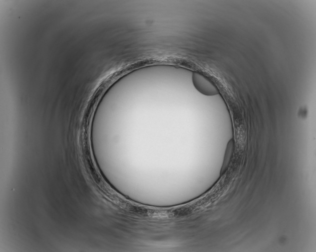 X0000099410587200805090729