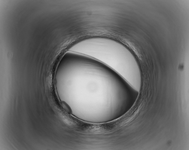 X0000099410589200805090729
