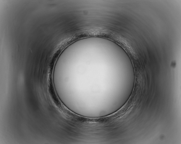 X0000099410590200805090729