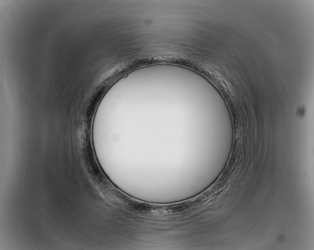 X0000099410591200805090729