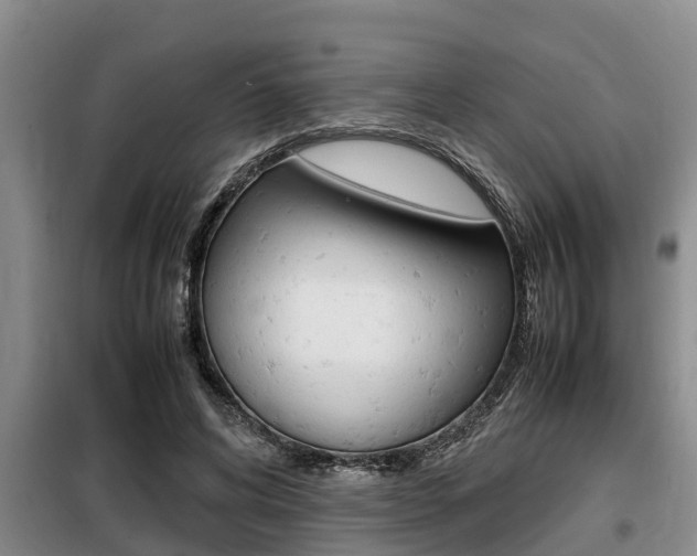 X0000099410592200805090729