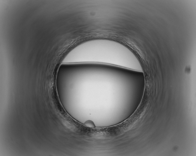 X0000099410593200805090729