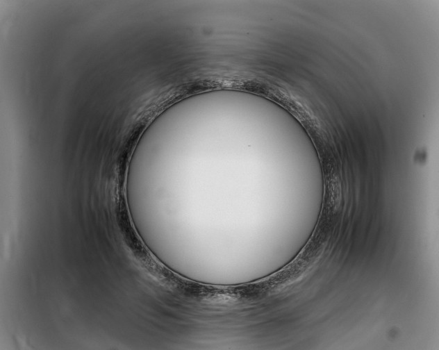 X0000099410594200805090729