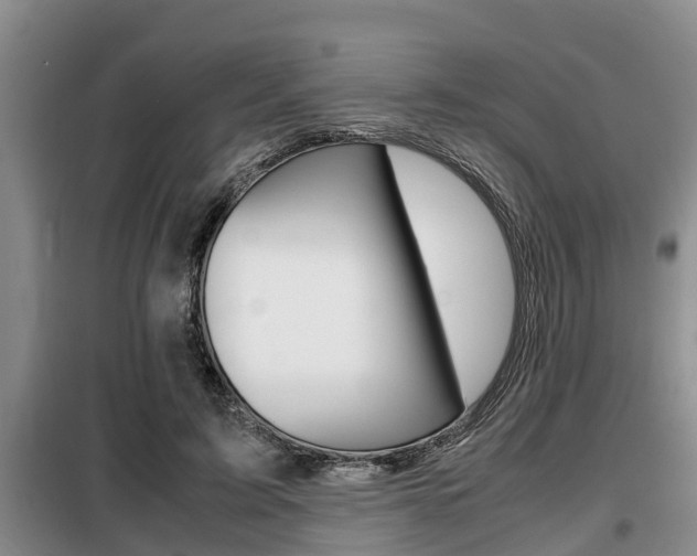 X0000099410595200805090729