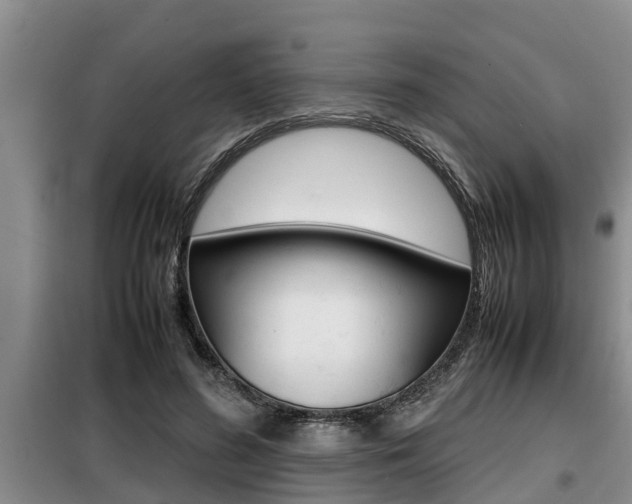 X0000099410596200805090729