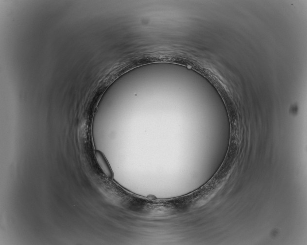 X0000099410597200805090729