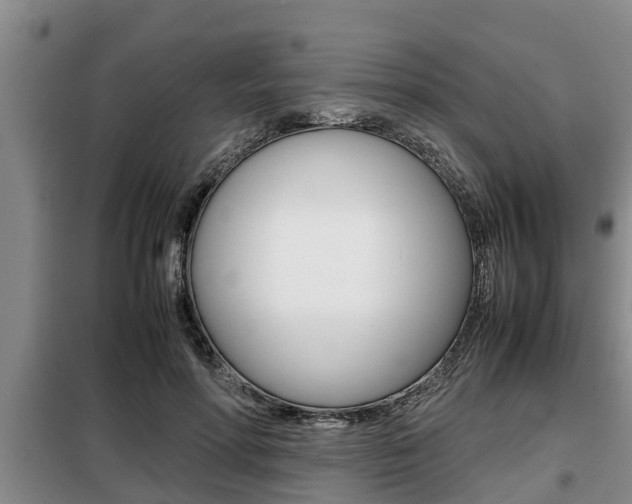 X0000099410598200805090729