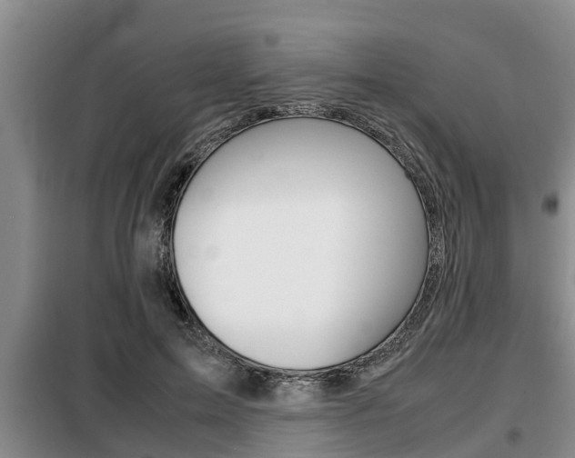 X0000099410599200805090729