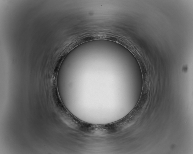 X0000099410601200805090729