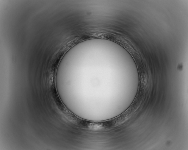 X0000099410602200805090729