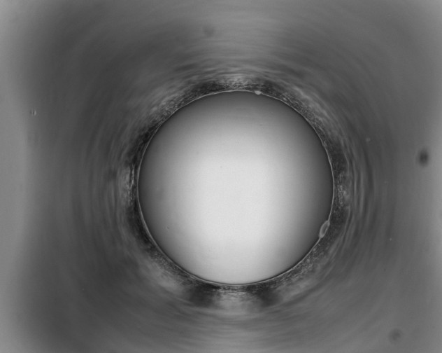 X0000099410605200805090729