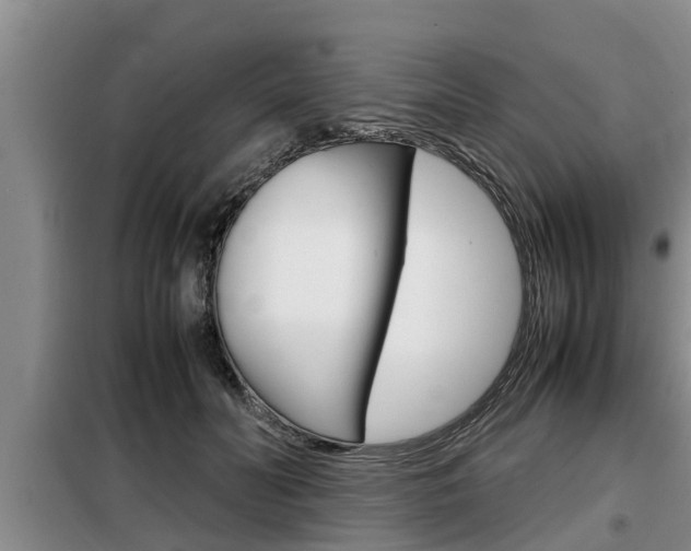 X0000099410606200805090729