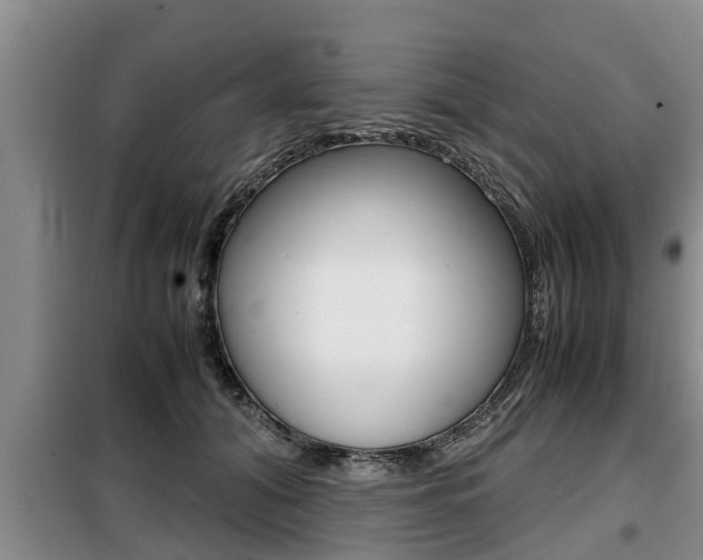 X0000099410608200805090729