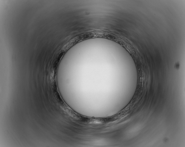 X0000099410610200805090729
