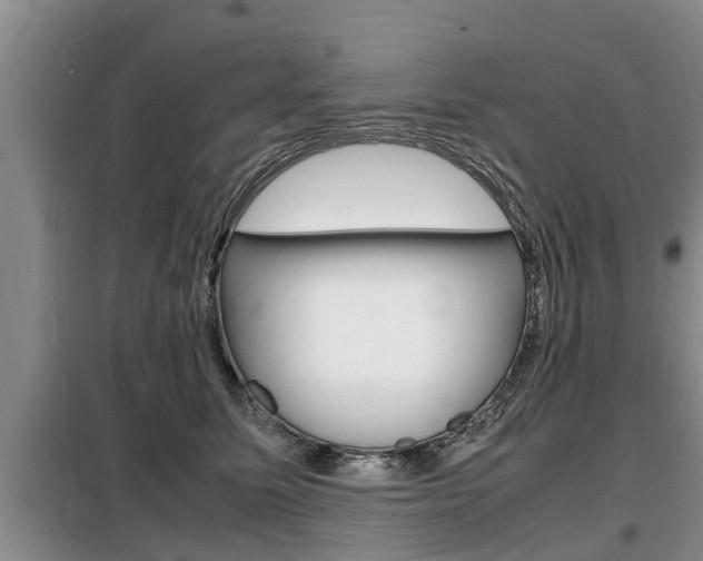 X0000099410611200805090729