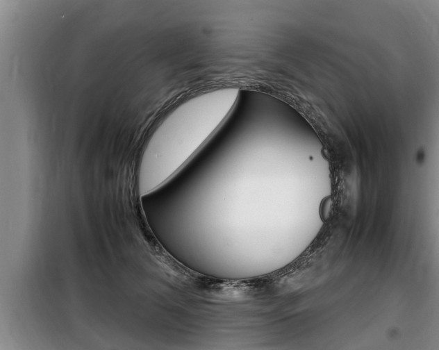 X0000099410612200805090729
