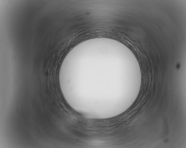 X0000099410613200805090729