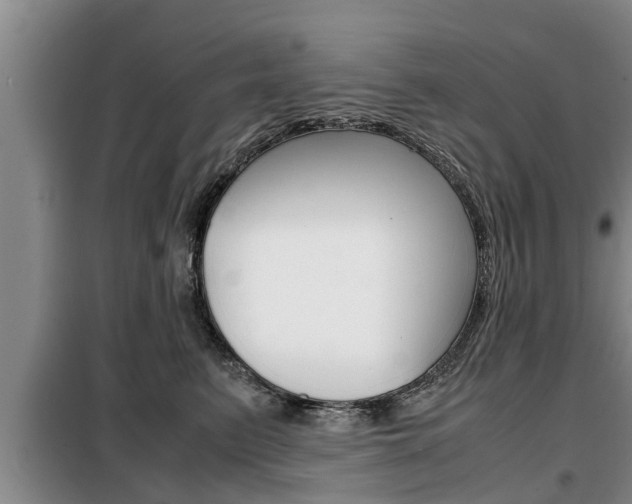X0000099410615200805090729