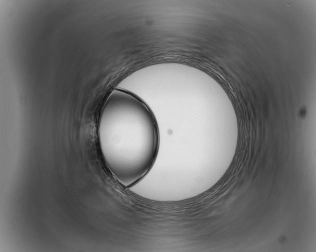 X0000099410617200805090729