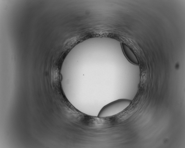 X0000099410623200805090729