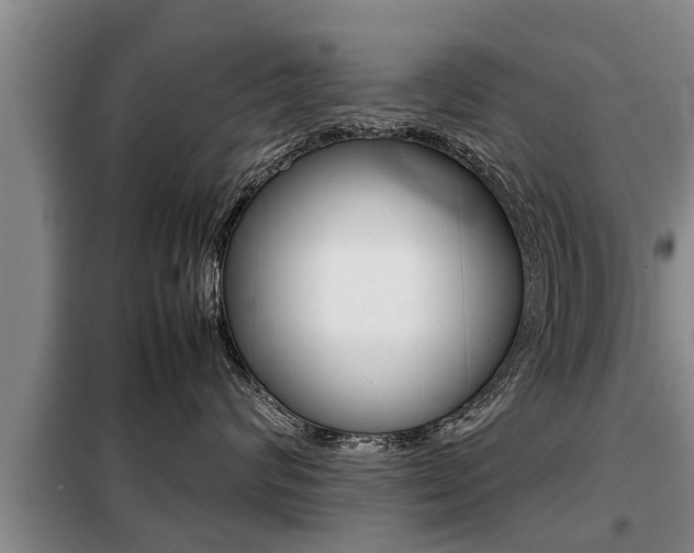 X0000099410624200805090729