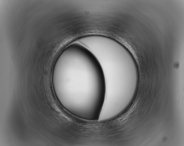 X0000099410625200805090728