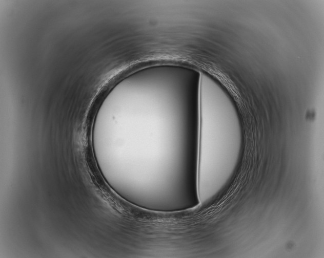 X0000099410628200805090728