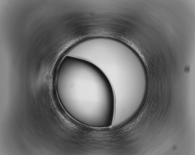 X0000099410629200805090728