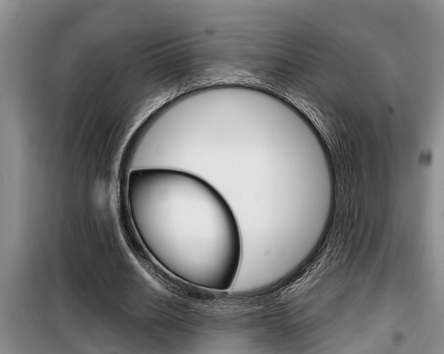 X0000099410630200805090728