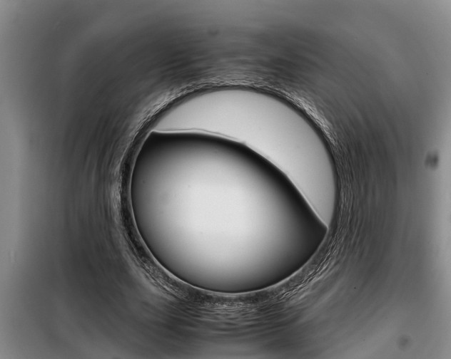 X0000099410631200805090728