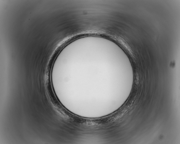 X0000099410632200805090728