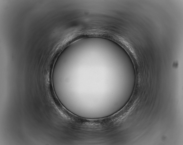 X0000099410633200805090728