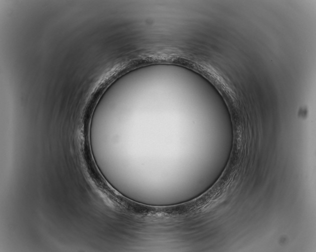 X0000099410634200805090728