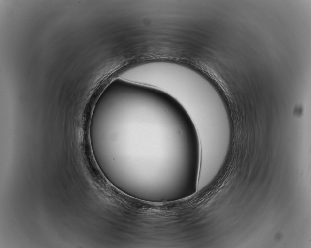 X0000099410635200805090728