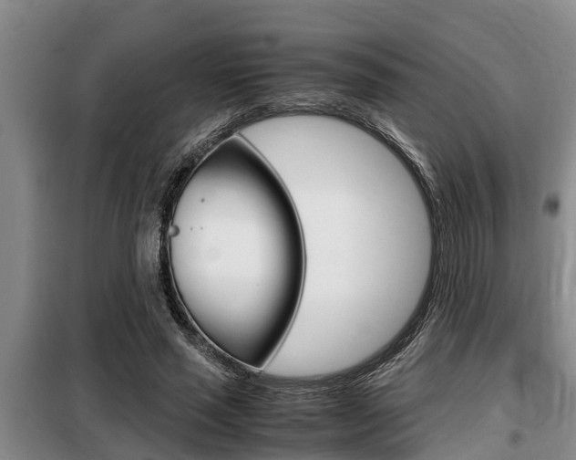 X0000099410637200805090728