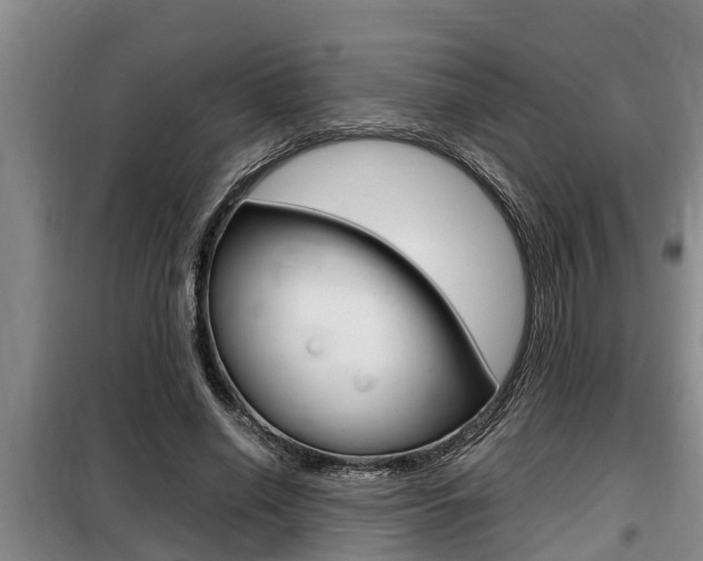 X0000099410638200805090728