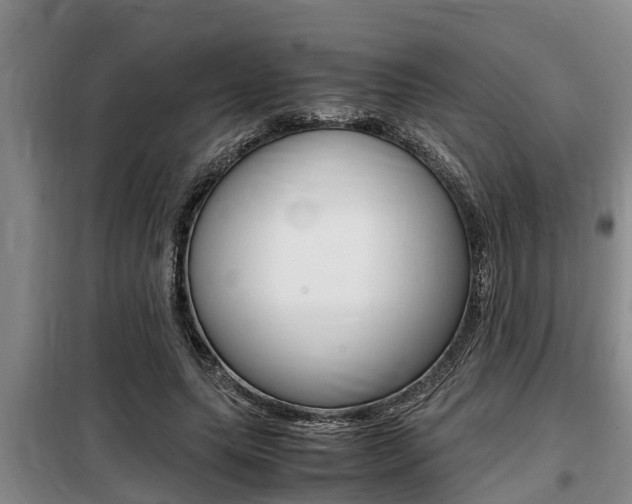 X0000099410639200805090728