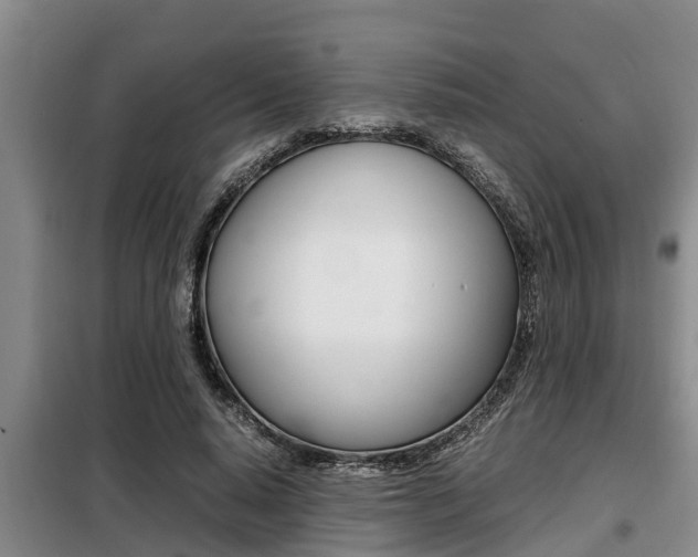 X0000099410640200805090728