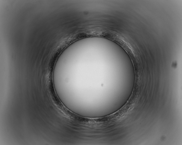 X0000099410641200805090728