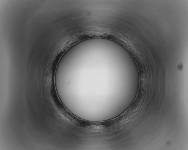 X0000099410642200805090728