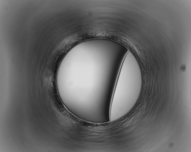 X0000099410643200805090728