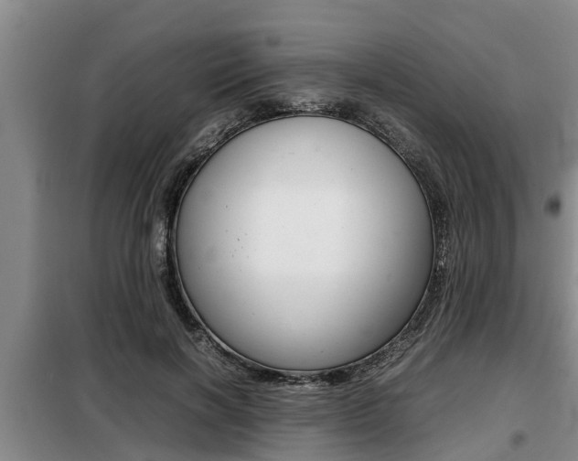 X0000099410646200805090728