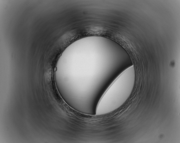 X0000099410647200805090728