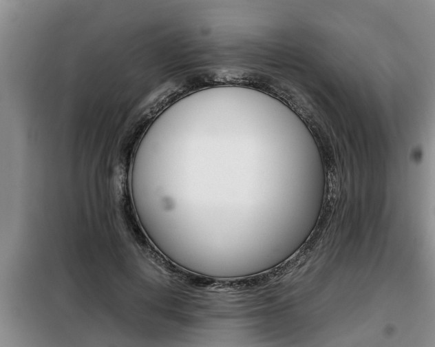 X0000099410648200805090728