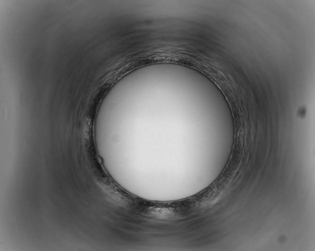X0000099410649200805090728