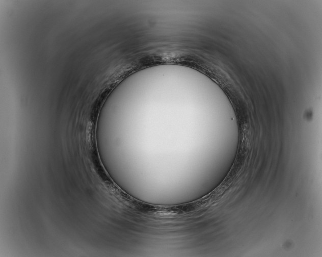 X0000099410650200805090728