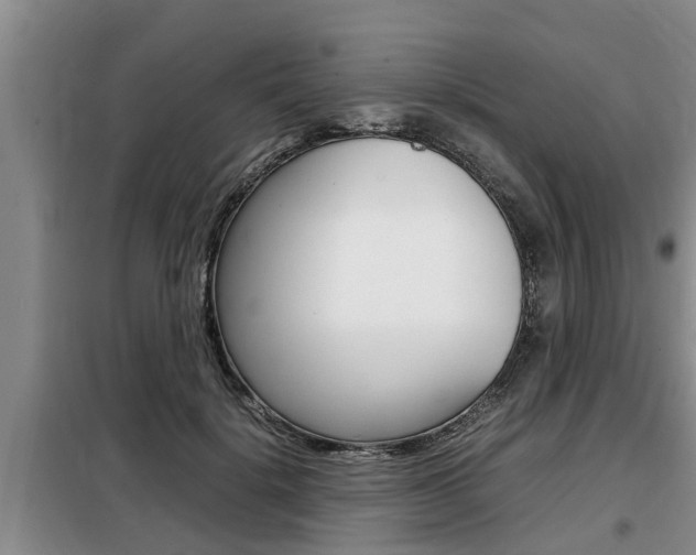 X0000099410652200805090728